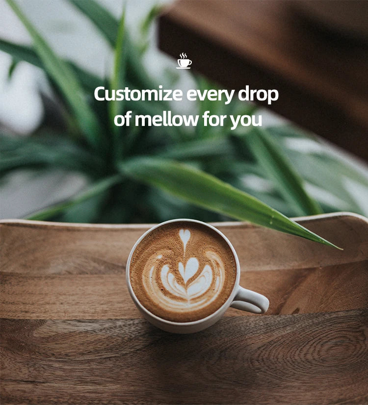 Coffee Machine Cappuccino Americano Espresso Latte Cafetera Fully Automatic Machine